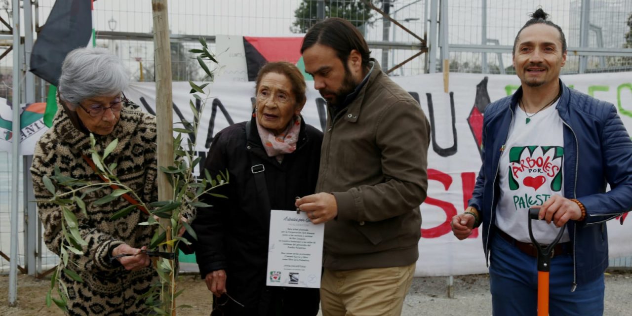 Arboles por Gaza