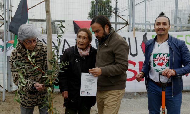 Arboles por Gaza