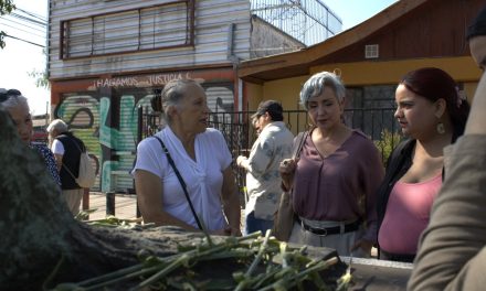 Que nos devuelvan “El Vuelo”, que no se roben las palomas, que no se pierda el respeto por Ana González