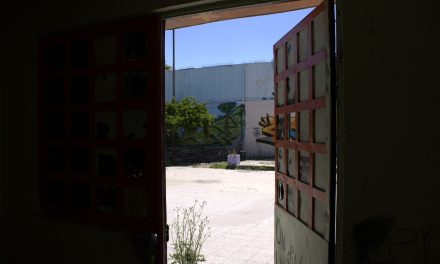 Conservar y restaurar: un acto de justicia, desafío y reflexión en Tres y Cuatro Álamos