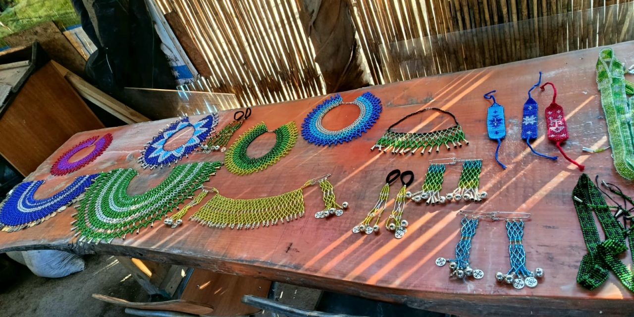Se viene el Año Nuevo Mapuche y también el taller de Llankatu en 3 y 4 Álamos