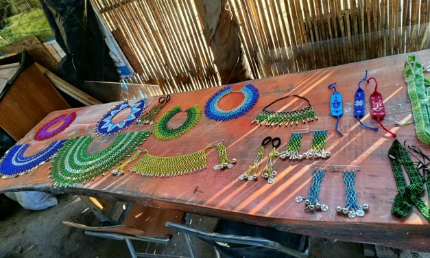 Se viene el Año Nuevo Mapuche y también el taller de Llankatu en 3 y 4 Álamos