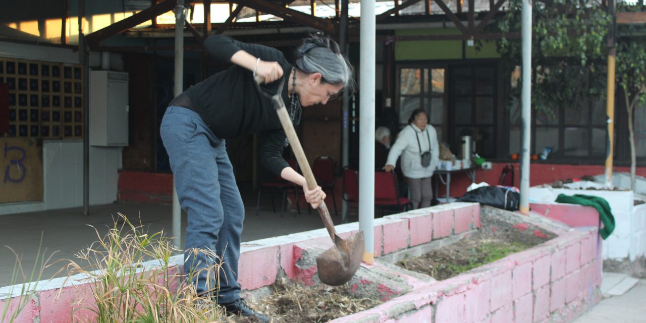 La Memoria también florece: Taller de Agroecología fortalece el cuidado comunitario en Tres y Cuatro Álamos