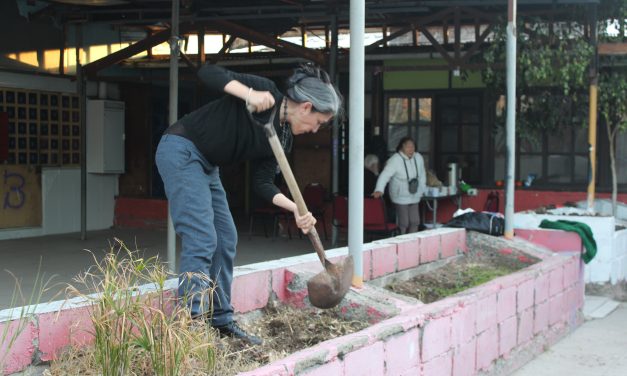 La Memoria también florece: Taller de Agroecología fortalece el cuidado comunitario en Tres y Cuatro Álamos